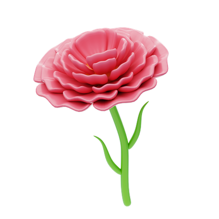 Carnation Ruffle  3D Icon