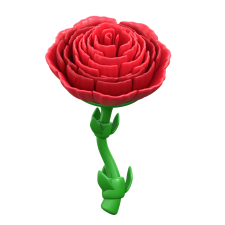 Carnations Flower  3D Icon