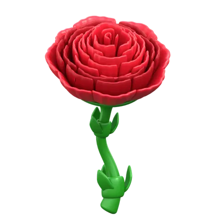 Carnations Flower 3 D Icon 3D Icon