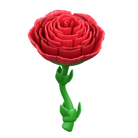 Carnations Flower  3D Icon