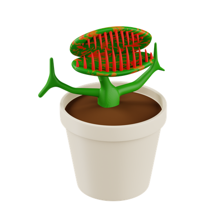 Carnifore Plant  3D Icon