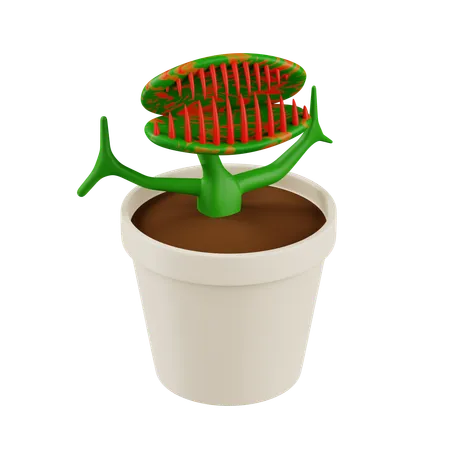 Carnifore Plant  3D Icon