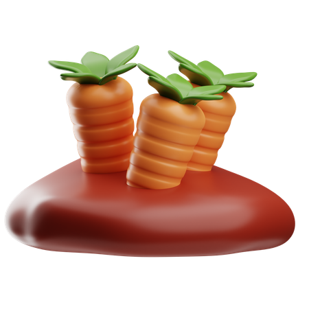 Carottes  3D Icon