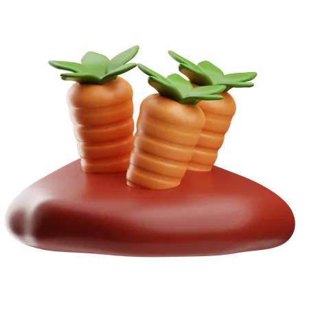 Carottes  3D Icon