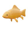 Carp Fish