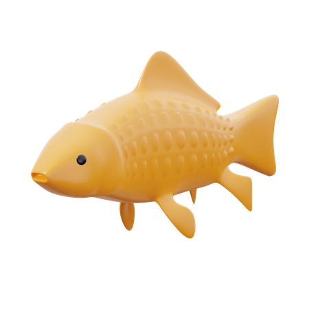 Carp Fish  3D Icon