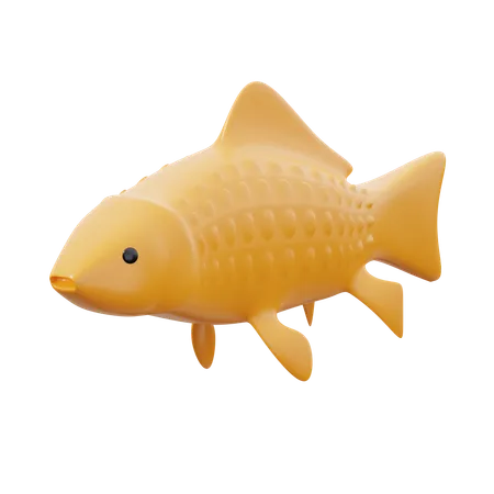 Carp Fish  3D Icon