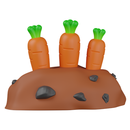 Carrot  3D Icon