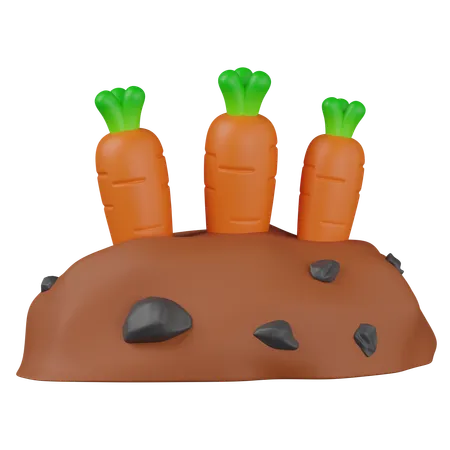 Carrot  3D Icon