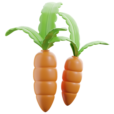 Carrot  3D Icon