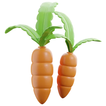 Carrot  3D Icon