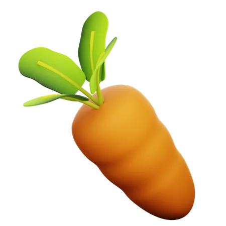 Carrot  3D Icon