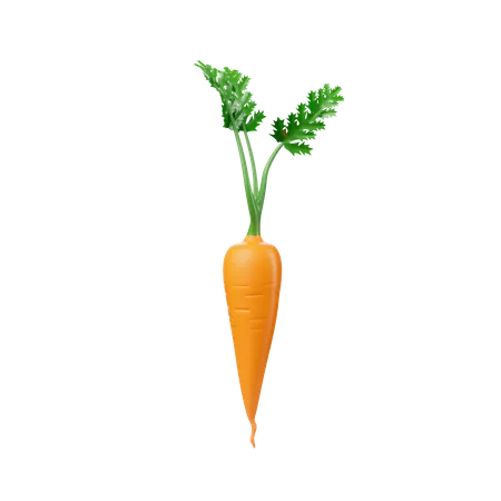 Carrot  3D Icon