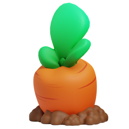 Carrot  3D Icon