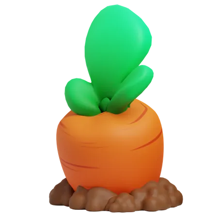 Carrot  3D Icon