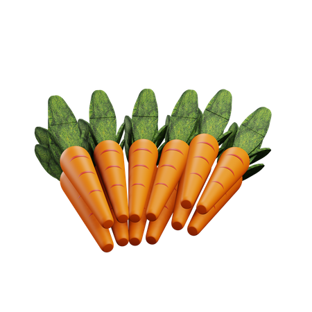 Carrot  3D Icon