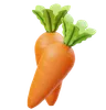 Carrot