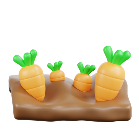 Carrot  3D Icon