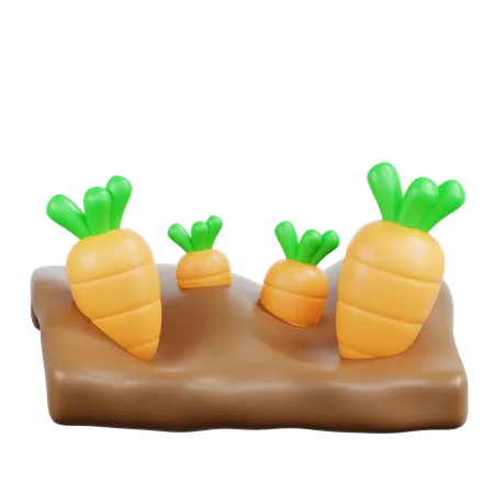 Carrot  3D Icon