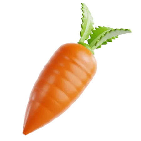 Carrot  3D Icon