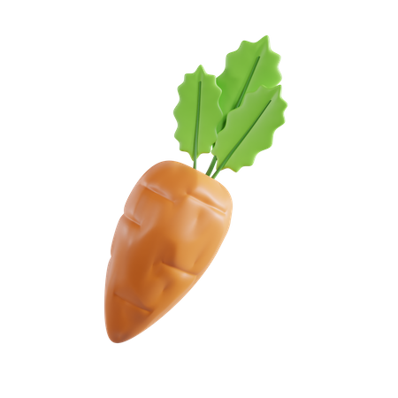 Carrot  3D Icon