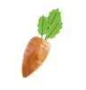 Carrot