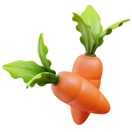 Carrot  3D Icon