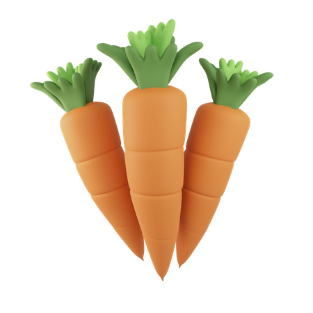 Carrot  3D Icon