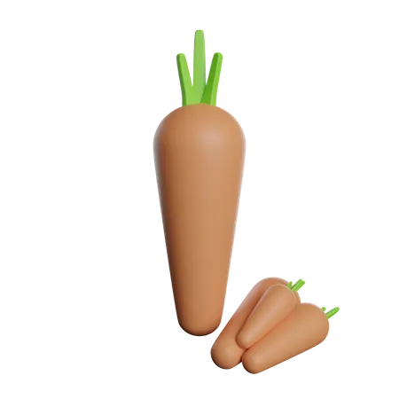 Carrot  3D Illustration