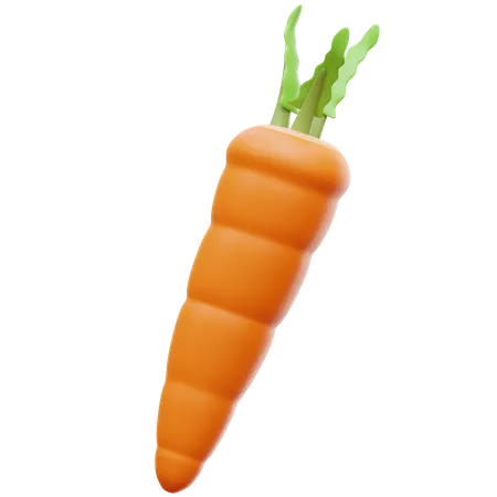 Carrot  3D Illustration