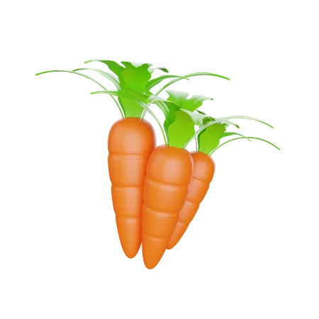 Carrot Plant 3 D Illustration 3D Illustration