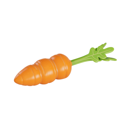 Carrot  3D Illustration