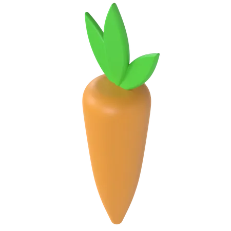 Carrot  3D Illustration