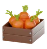 Carrot Box