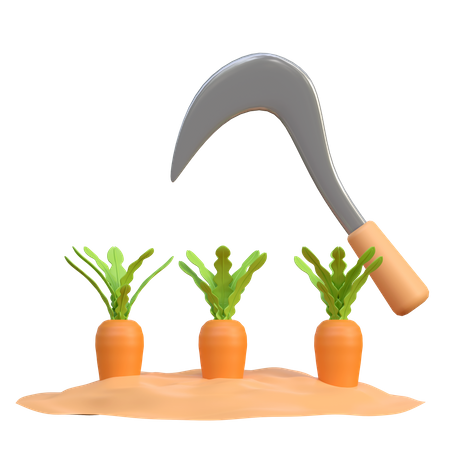 Carrot Crop Harvesting  3D Icon