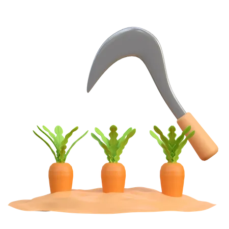 Carrot Crop Harvesting 3D Icon