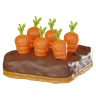 Carrot Farm