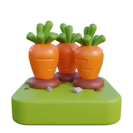 Carrot farm  3D Icon