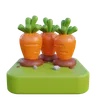 carrot farm