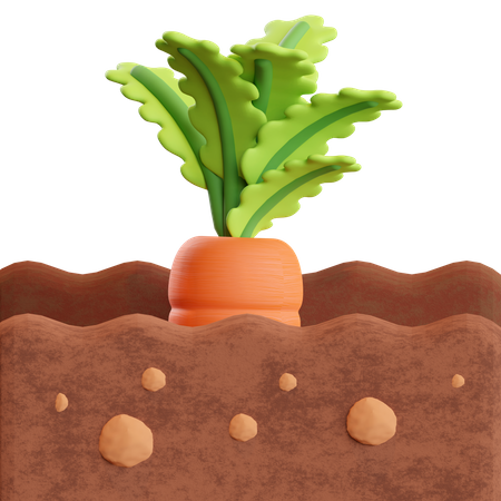 Carrot Farm  3D Icon