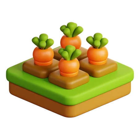 Carrot Farming  3D Icon