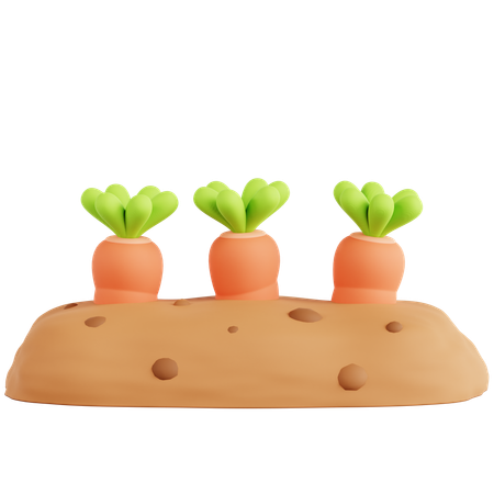 Carrot Farming  3D Icon