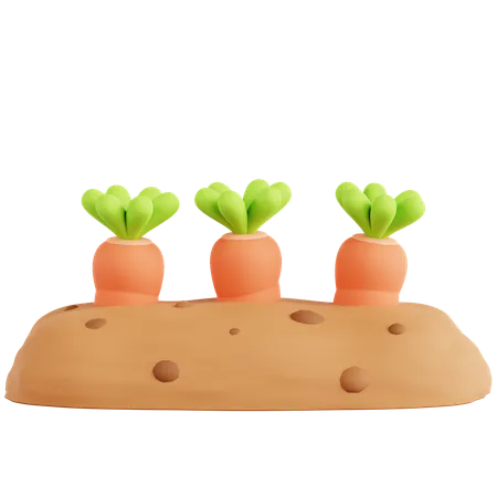 Carrot Farming  3D Icon