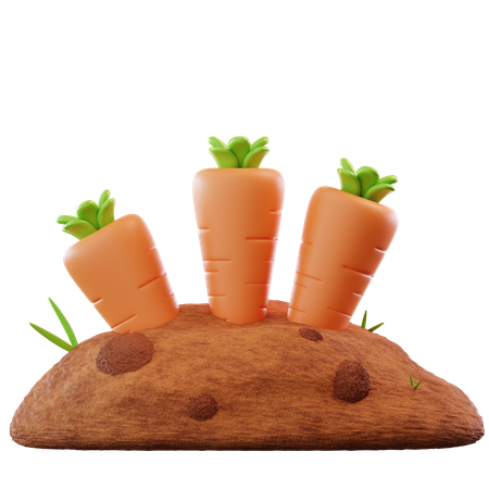 Carrot Farming  3D Icon