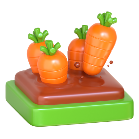 Carrot Farming  3D Icon