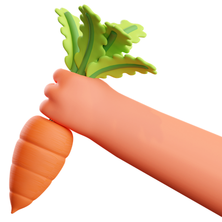 Carrot farming  3D Icon