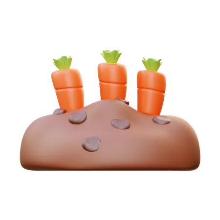 Carrot Field  3D Icon