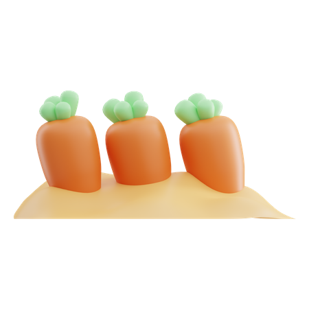 Carrot Field  3D Icon