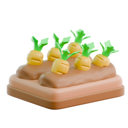 Carrot Field  3D Icon