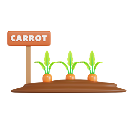 Carrot Field  3D Icon